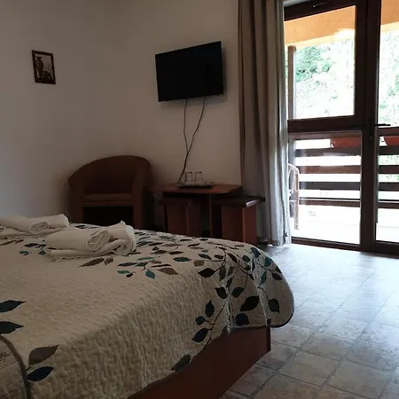Vila Bianca Dragusin-2