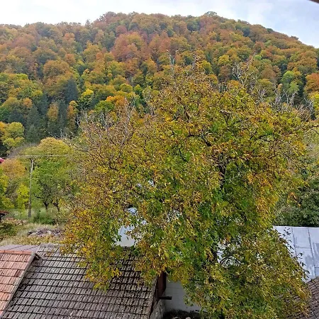 Zori de zi-2