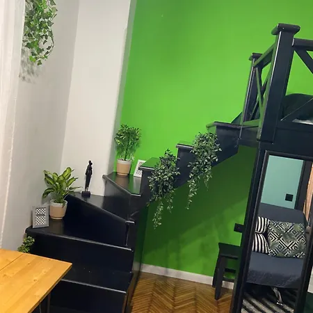 Green Vibes Central Brasov-3