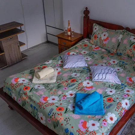 Casa Calin-3