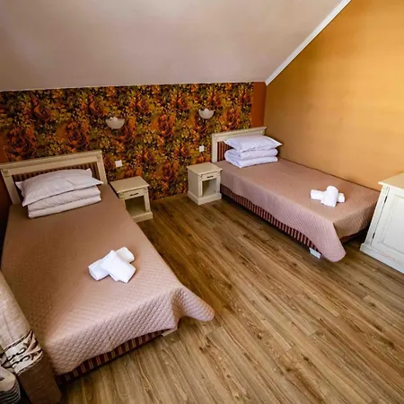 Pensiunea Venetia Sighisoara-3