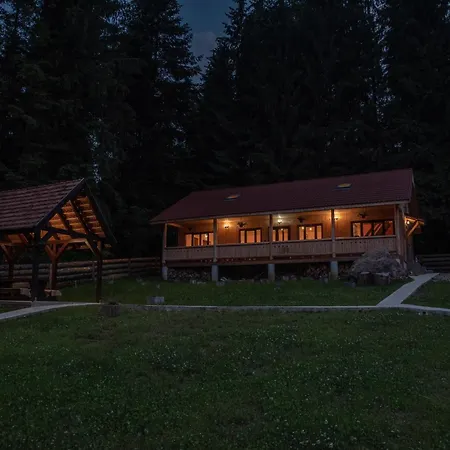 Forest Resort-3