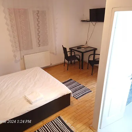 Casa Flavius-3
