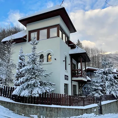 Alfinio Villa-3