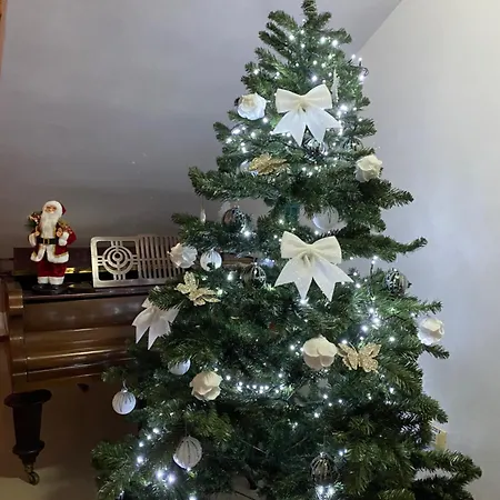 Casa Pino-3