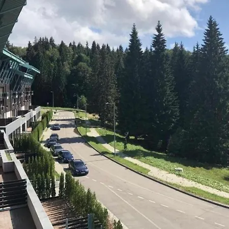 Silver Mountain, Duplex 3 Camere - 250 Mp Luxury Garden - Poiana Brasov-3