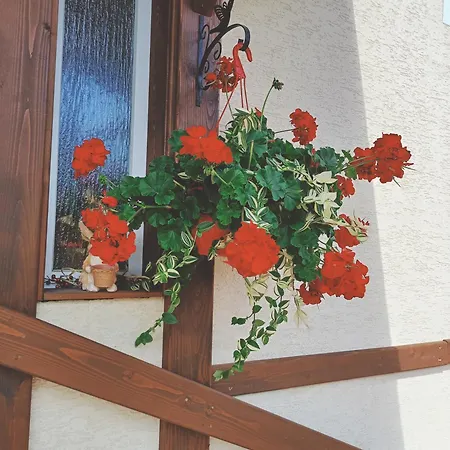 Residence Rooms Bucovina-3