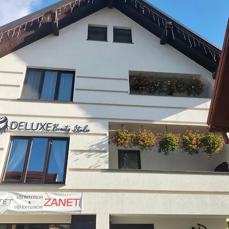 Pensiunea Casa Zanet-3