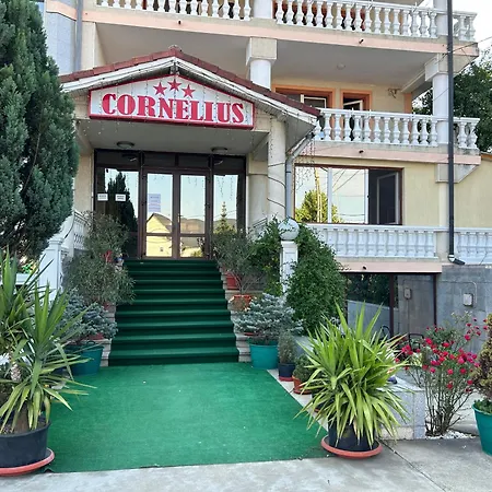 Pensiunea Cornelius-3