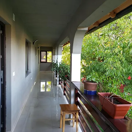 Casa Nicoleta-2