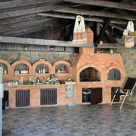 Casa Firuta Borsa-3
