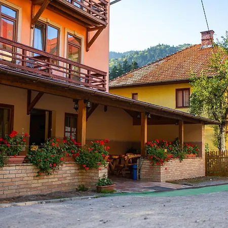 Pensiunea Viktoria-3