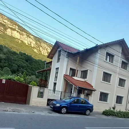 Casa Peneșel-3