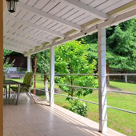 Casa Aris Lepsa Vrancea-3