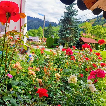 Valea Dorului Guest House-2