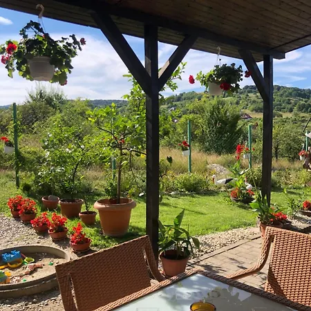 Pensiunea Casa cu Flori-2