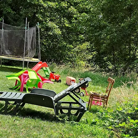Vis Împlinit-3