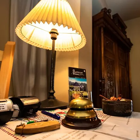 Bucovina Lodge Pension-3