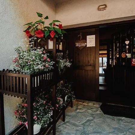 Bucovina Lodge Pension-2
