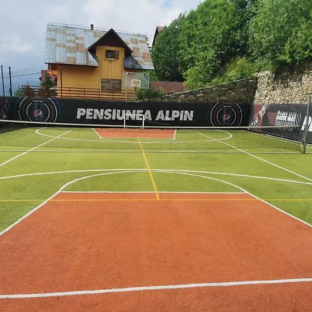 Pensiunea Alpin Ranca-3
