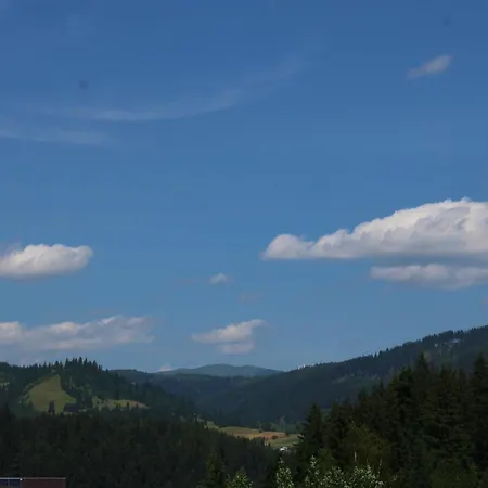 Pensiunea Negrești-2