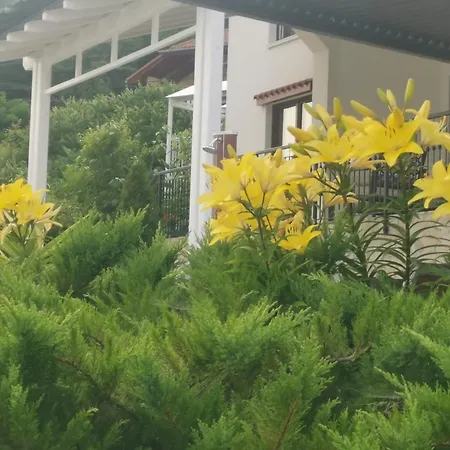 Villa Unique-3
