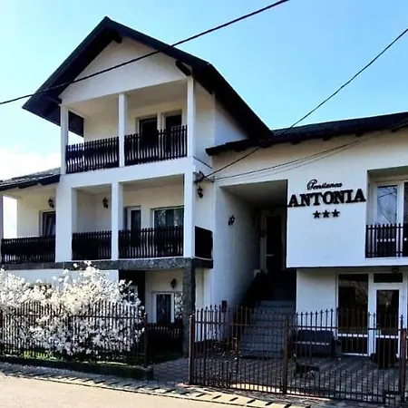 Pensiunea Antonia-2