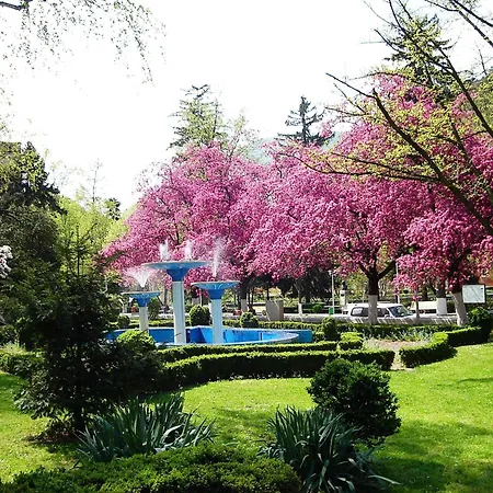 Pensiunea Magic-2