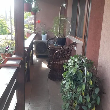 Casa Elena Eselnita-2