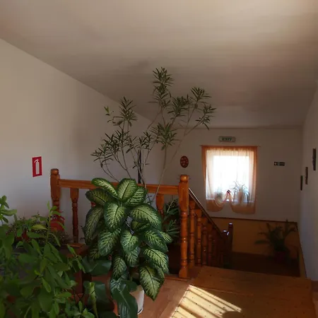 Vila Veche-2