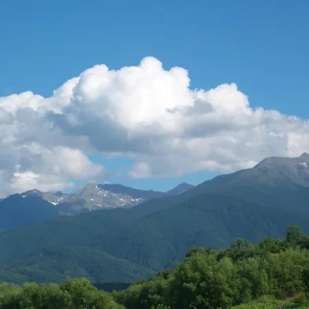 La Curtea Porumbaceana-3