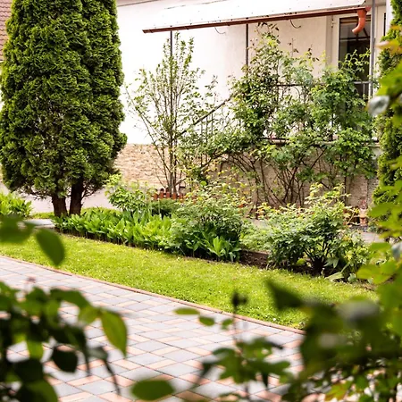 Green Garden Avrig-3