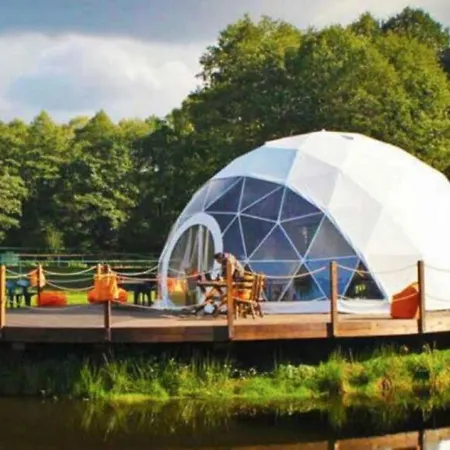 Forest Glamping-2