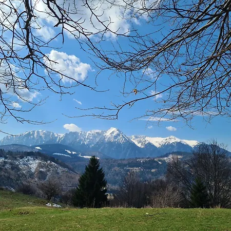 Vila Șoimul Predeal-3