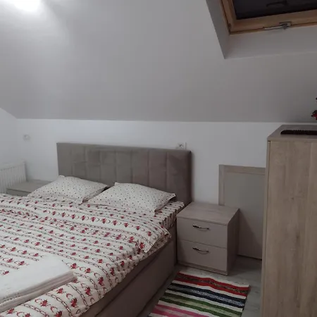 Casa Ivascu Moisei-3