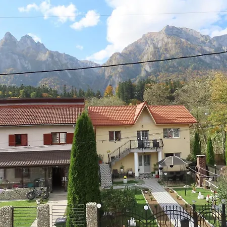 Vila Nik Busteni-3
