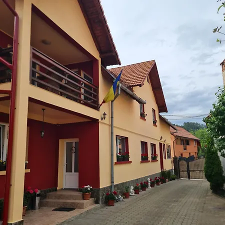 Vila Vlăduț-3