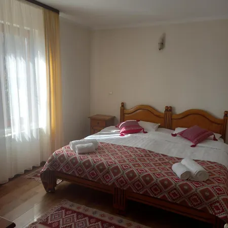 Pensiunea Aluniş-2