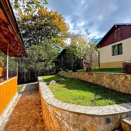 Bucegi View-2