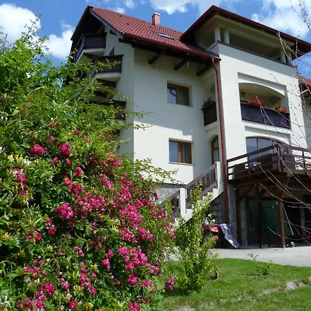 Pension Irina-2