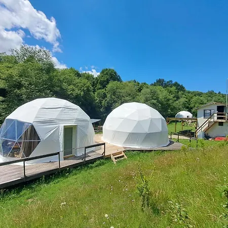 Forest Glamping-3