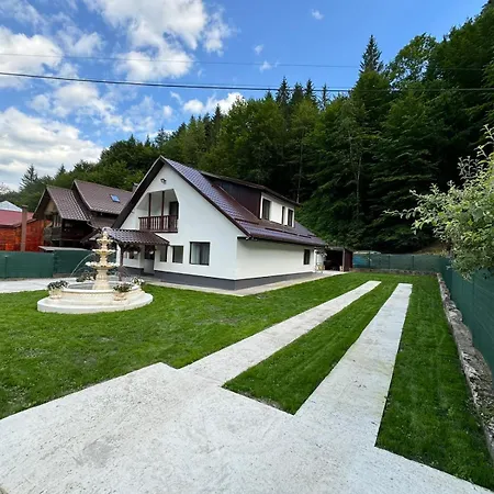 Vila-cabană Izvorul Muntelui-3