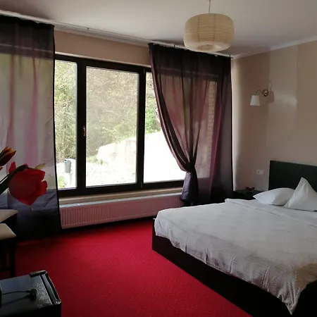 Pensiunea Decebal Resort - Cazanele Dunarii-3