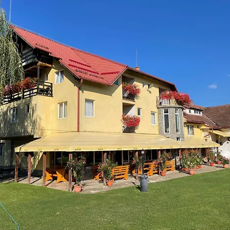 Vila Niculina-2