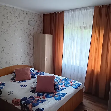 Vila Bogdan-2