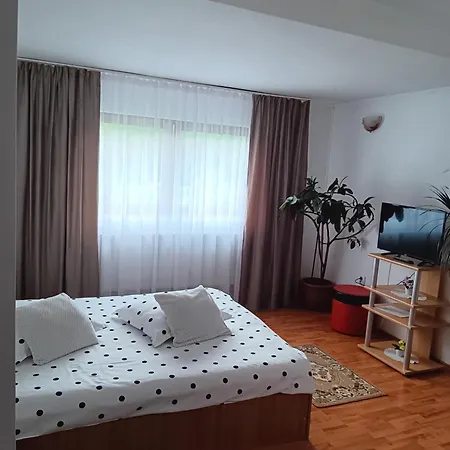 Vila Bogdan-3