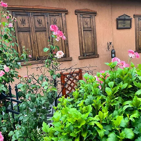 Casa Rosca-3