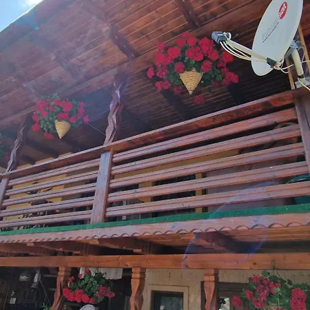 Casa Agroturistica Tarancuta din Vatra Moldovitei-2