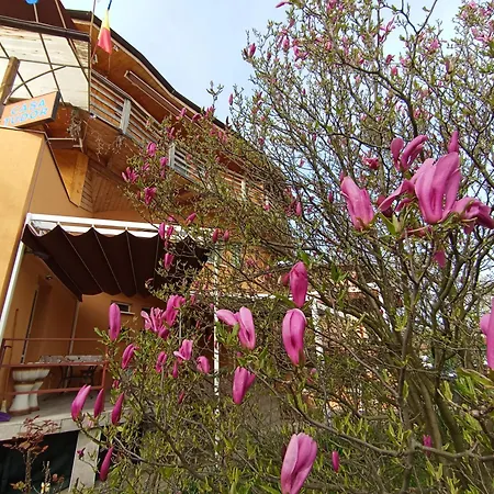 Casa Tudor Turda-2