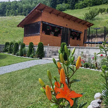 Cabana Lazea-2